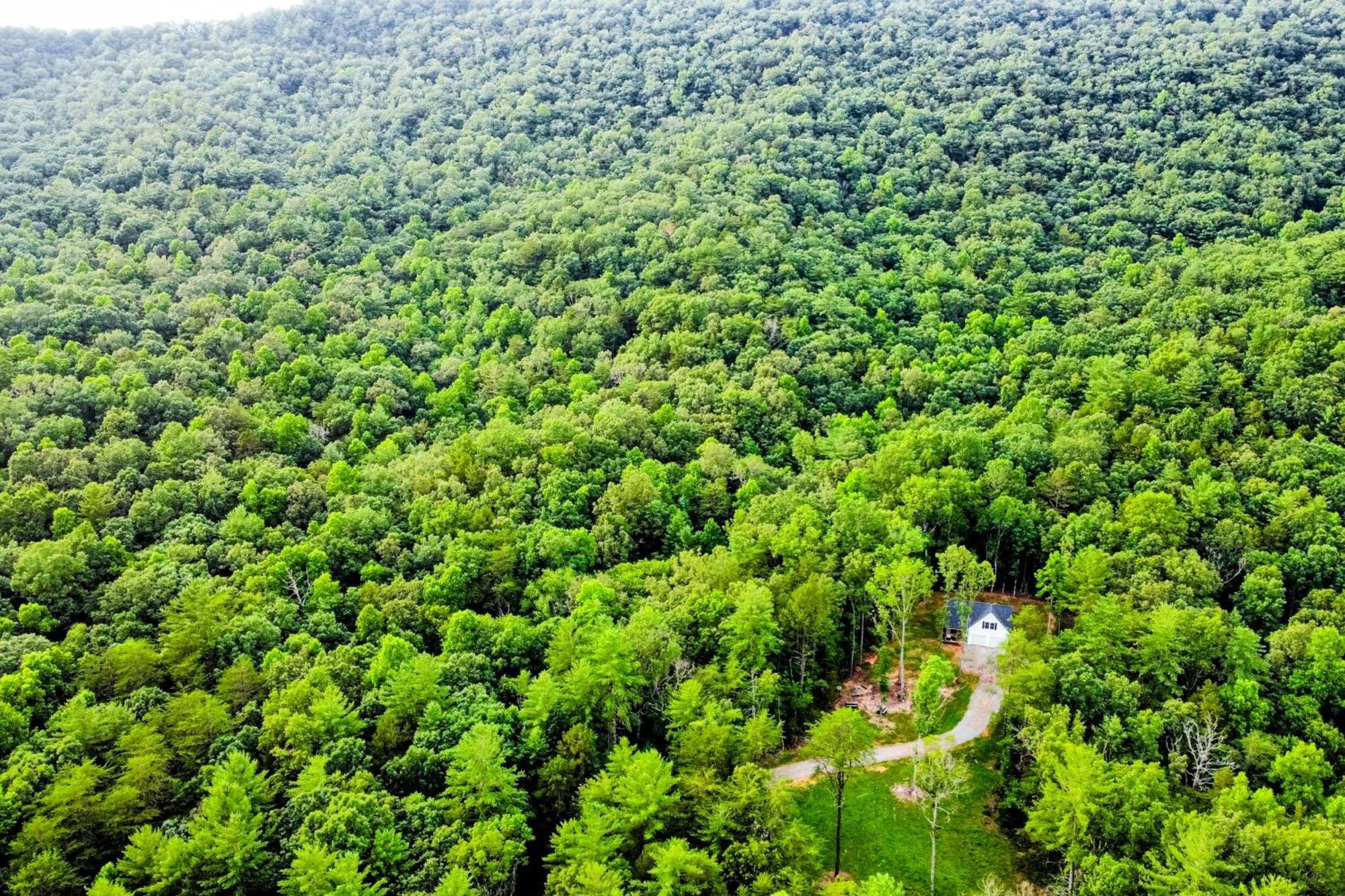 White Owl Cottage Блерсвілл Екстер'єр фото